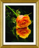 3d立体精准印花十字绣客厅新款贵族蒙娜丽莎系列玫瑰倒影 黄玫瑰