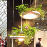 北欧清新创意花盆栽植物babylon巴比伦秘密花园装饰吊灯具饰