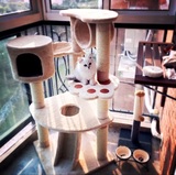 包邮！出口日本猫架猫爬架猫跳台剑麻支柱猫窝猫玩具猫抓板大猫架