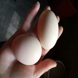 程记农庄农家生态竹山放养正宗优质土鸡蛋30枚装浙江丽水特产热卖