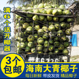 海南特产 新鲜青椰子 精品椰汁 椰青 椰果 水甜肉香 3个带皮包邮