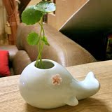 创意迷你水培花瓶花插摆件 陶瓷小花器卡通鲸鱼萌家居装饰品花盆