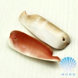 红口片3-4CM带孔 1元1个 天然海螺贝壳批发海星 小海螺贝壳挂饰