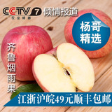 北大杨哥精选绿色生态新鲜采摘水果 烟台红富士苹果平安果杨舒春