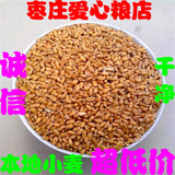 小麦粒 小麦草 小麦苗 农家自种 带皮小麦 有机小麦五谷杂粮500克