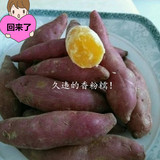 正宗天目小香薯/临安有机小红薯/新鲜番薯/农家现挖黄心山芋4斤