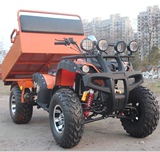 250大公牛沙滩车ATV山地越野两用四轮摩托车农夫车拖拉机小型货车