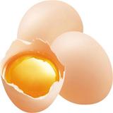 农家土鸡蛋30枚包邮土特产正宗新鲜自养散养土鸡蛋纯天然有机月子