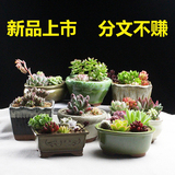默默 多肉花盆 创意个性植物绿植花卉粗陶陶瓷花器特价批发