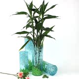 现代欧式圆筒手工玻璃花瓶 家居饰品玄关台面摆件摆设 富贵竹花器