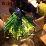 北欧美式创意个性方型绿植吊灯KTV 酒吧音乐餐厅咖啡厅装饰灯具