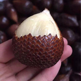 印尼蛇皮果特价热卖新鲜水果包顺丰空运