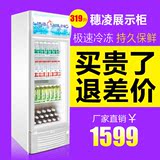 穗凌 LG4-319LT立式饮料柜单门冷藏展示保鲜柜便利店商用冰柜