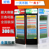 好鸥啤酒柜单门商用展示柜水果饮料冰箱立式冷藏饮品保鲜柜单温柜