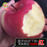 苹果红富士水果 新鲜陕西洛川有机农家纯天然冰糖心10斤批发包邮