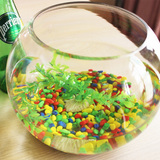包邮超透明圆形生态金鱼缸玻璃鱼缸乌龟缸小型造景水培花瓶