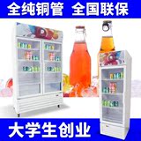 【出口】展示柜冷藏立式饮料商用冰柜冰箱单双门冷饮柜啤酒保鲜柜