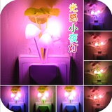 LED灯光控感应小夜灯 创意花朵插电节能夜光壁灯卧室灯