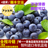 万合生鲜 新鲜智利 进口有机蓝莓 新鲜水果4盒顺丰包邮（过季）