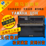 日本二手钢琴原装雅马哈YAMAHA立式钢琴U1H初学者考级进口正品