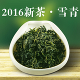 日照绿茶2016年春季新茶散装自产自销日照绿特级500g雪青茶叶春茶