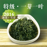 日照绿茶2016年春季新茶散装自产自销日照绿特级500g雪青茶叶春茶
