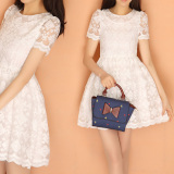 2016夏季装韩国白色仙蕾丝短袖连衣裙夏天公主蓬蓬半身裙中短裙子