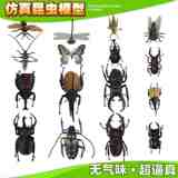 热销儿童早教益智玩具 3d仿真昆虫玩具模型 甲虫动物塑胶模型昆虫