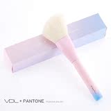 v110韩国代购 VDL+PANTONE化妆刷散粉蜜粉腮红刷修容刷便携刷子
