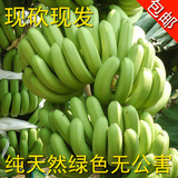 香蕉banana老挝玉林青香蕉新鲜水果芭蕉有机无公害包邮农家直供