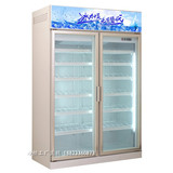 天福双门饮料展示柜冰柜 便利店对开门饮料展示柜便利店冷柜1300L