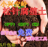 杜鹃茶花兰花卉营养土酸性土松针腐殖土腐叶土君子兰专用土蓝莓土