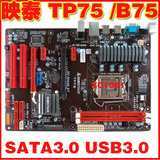 BIOSTAR/映泰 TP75 拆机主板 SATA3.0 USB3.0 大板 挑B75M Z77