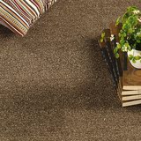 伊朗进口精品客厅地毯咖啡色纯手工羊毛大地毯长方形地毯地垫