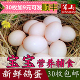 鸽子蛋新鲜30枚鸽子蛋包邮农家散养宝宝孕妇辅食军山鸽蛋包邮