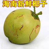 海南椰子包邮 特价批发 青椰子 天然饮品 新鲜水果 椰青 椰子汁