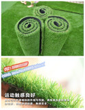 仿真草坪人造草坪塑料草皮幼儿园彩色草坪绿植地毯人工草坪装饰
