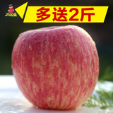 山东烟台栖霞红富士苹果水果送2斤共10斤新鲜水果批发包邮特价