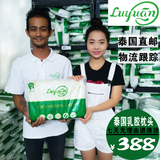 泰国Luyuan正品代购夏季成人单人乳胶枕头纯天然橡胶枕护颈保健枕