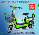 厂家直销电动自行车电瓶车爱玛雅迪同款迷你踏板车48V20A天能电池