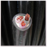 正品杭州中策牌电线电缆VV/YJV3*16平方国标纯铜三芯电力硬电缆