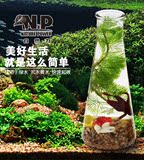 生态瓶水族创意桌面办公室diy摆件微景观鱼缸小盆栽迷你水培植物