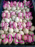 广西新鲜海鸭蛋海边散养无饲料(满30个包邮 生蛋)