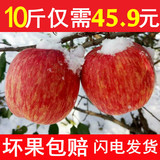 金水果烟台苹果水果山东栖霞红富士批发有机新鲜80大苹果10斤包邮