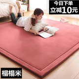 现代简约珊瑚绒面日式地毯榻榻米床垫子卧室客厅爬行垫 加厚地垫