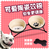 泰迪狗碗双碗宠物用品 陶瓷碗猫碗狗食盆猫咪碗猫饭盆猫粮盆碗