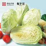 桐庐馆 新鲜蔬菜农家自种 大白菜  韩国泡菜 500g 包邮