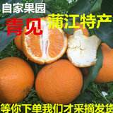 蒲江青见柑橘应季新鲜现摘水果清见橘子橙子5斤包邮非丑柑不知火