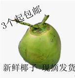 特价 包邮 青椰子 海南新鲜椰子  椰青5斤-6斤一个大椰子。