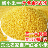 红谷小米东北农家自产新小米有机黄小米月子米小黄米红谷子小米